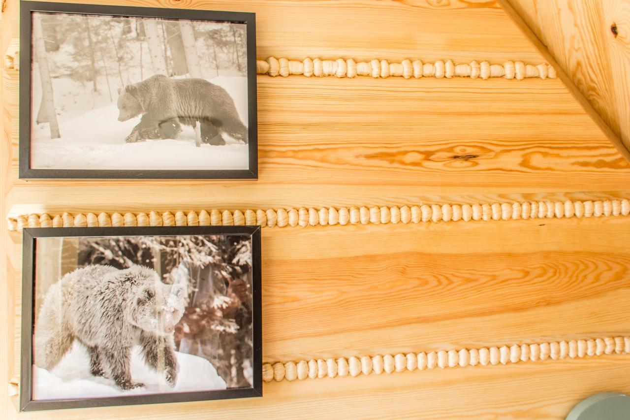 Apartament Gawra Zakopane Dış mekan fotoğraf